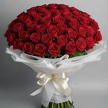Букет 101 Красная роза Блэк Мэджик в Попутная
