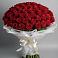 Букет 101 Красная роза Блэк Мэджик в Попутная