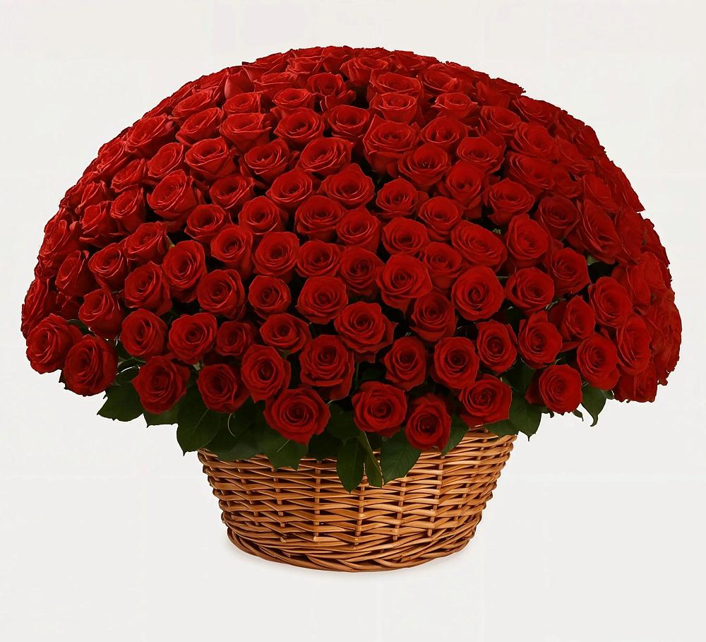 Премиум букет из: Розы в Попутная