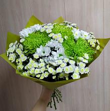 Букет цветов из:  Хризантемы #REPLACE_PRED# Попутная