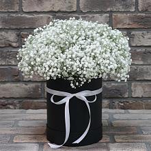 Цветочная композиция из Гипсофила в шляпной коробке в Попутная