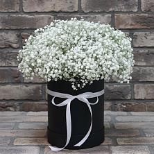 Цветочная композиция из Гипсофила в шляпной коробке в Попутная