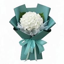 Букет цветов из:  Гортензия в Попутная